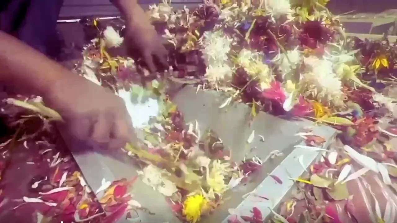 Floral waste being prepared and shredded